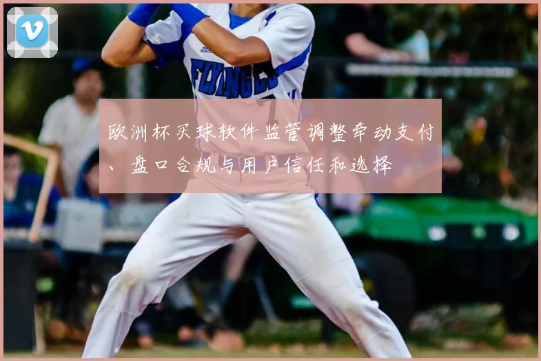 欧洲杯买球软件监管调整牵动支付、盘口合规与用户信任和选择